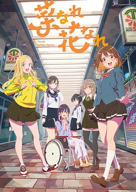 优化服务器的网站叫什么